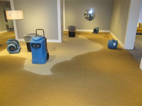 flooded carpet restoration plus